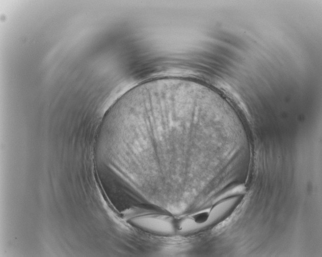 X0000088831425200706281744