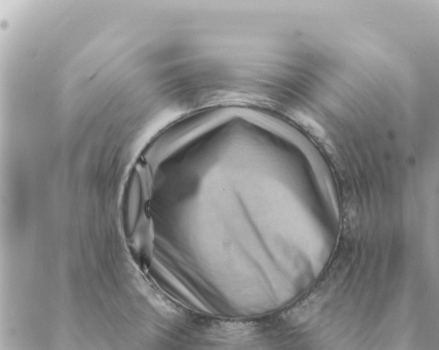 X0000088831427200706281745