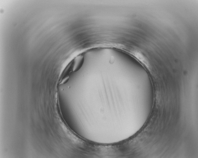 X0000088831428200706281745