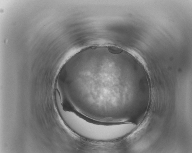 X0000088831429200706281745