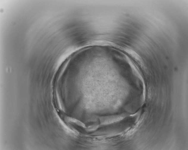 X0000088831430200706281745