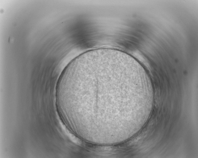 X0000088831431200706281745