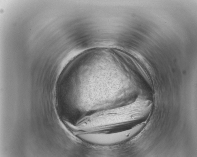 X0000088831432200706281745