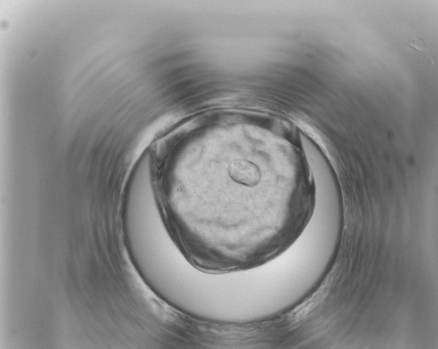 X0000088831434200706281745