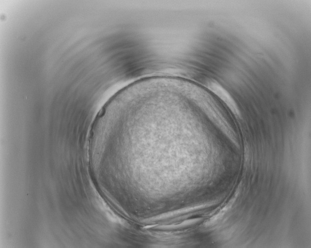 X0000088831436200706281745