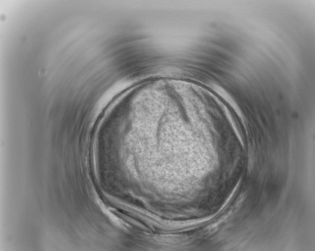 X0000088831437200706281745