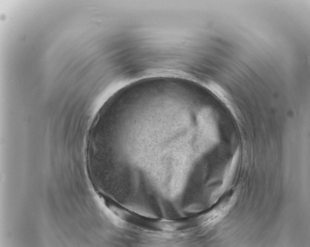 X0000088831438200706281745