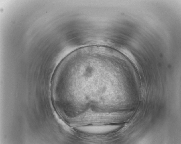 X0000088831439200706281745