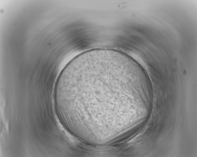 X0000088831440200706281745