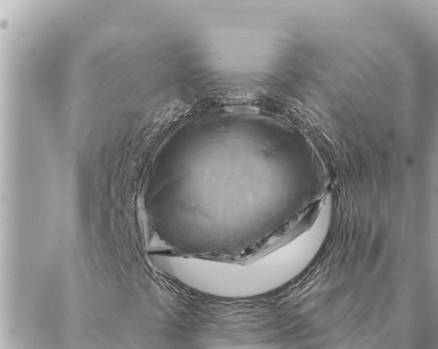 X0000088831441200706281744