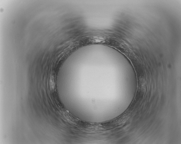 X0000088831442200706281744