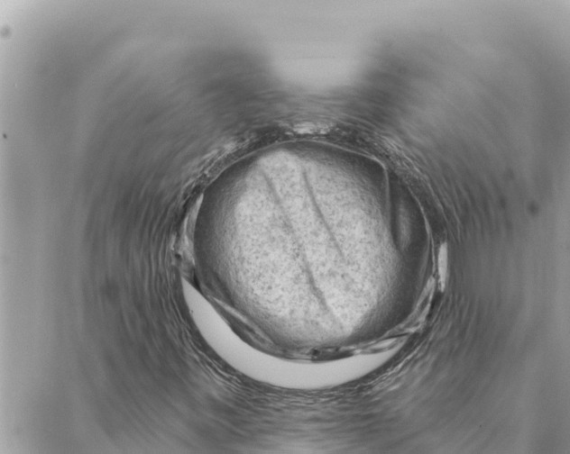 X0000088831443200706281744