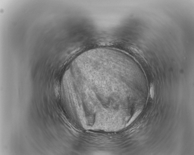 X0000088831444200706281744