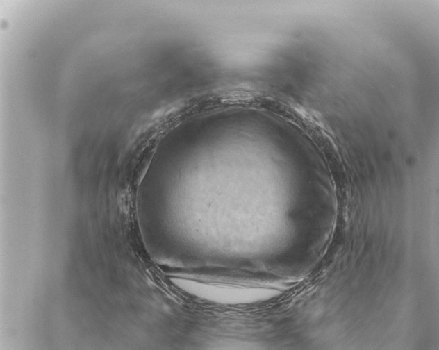 X0000088831445200706281744