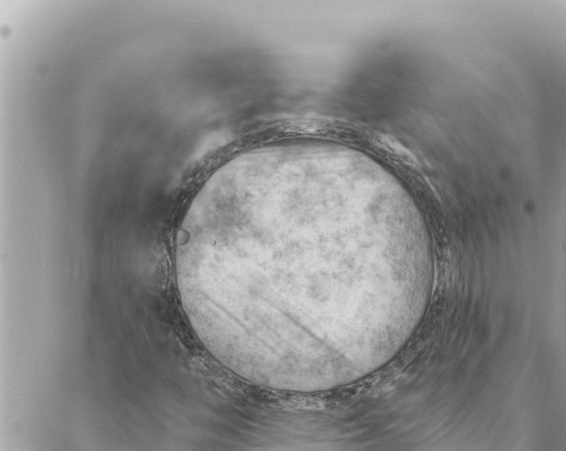 X0000088831446200706281744