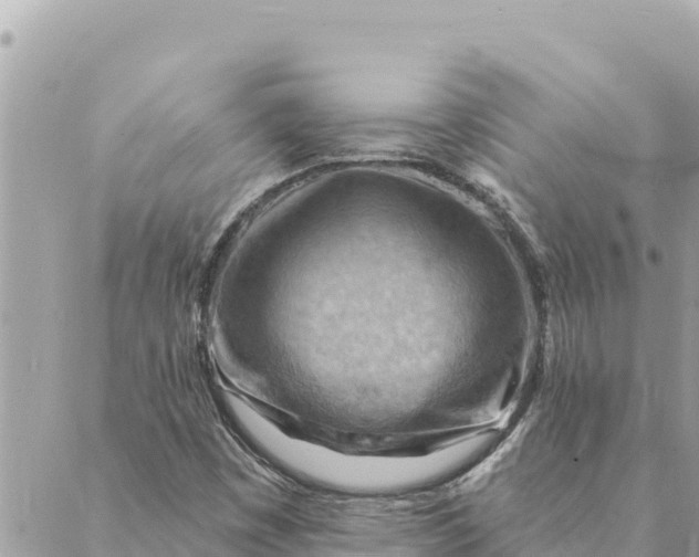 X0000088831449200706281744