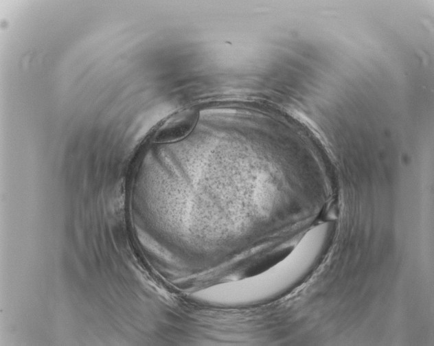 X0000088831450200706281744