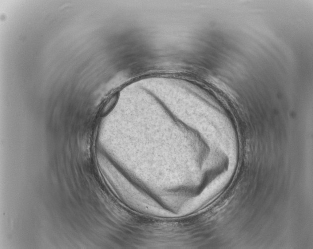 X0000088831451200706281744