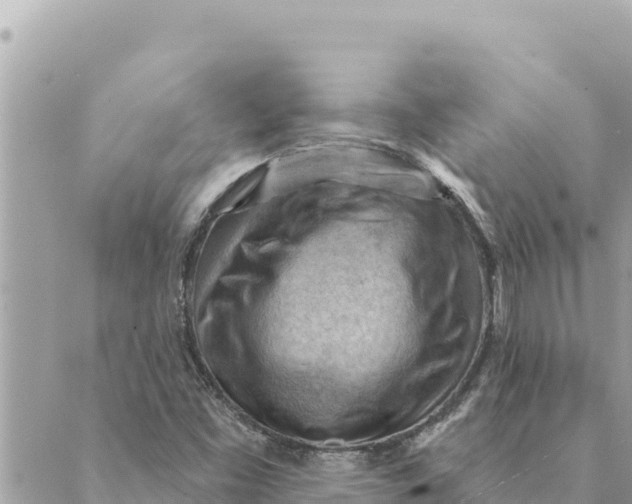 X0000088831453200706281744