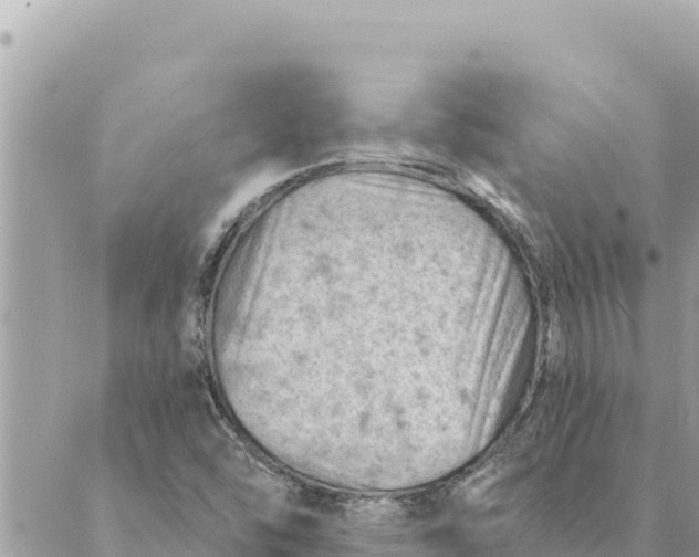 X0000088831454200706281744