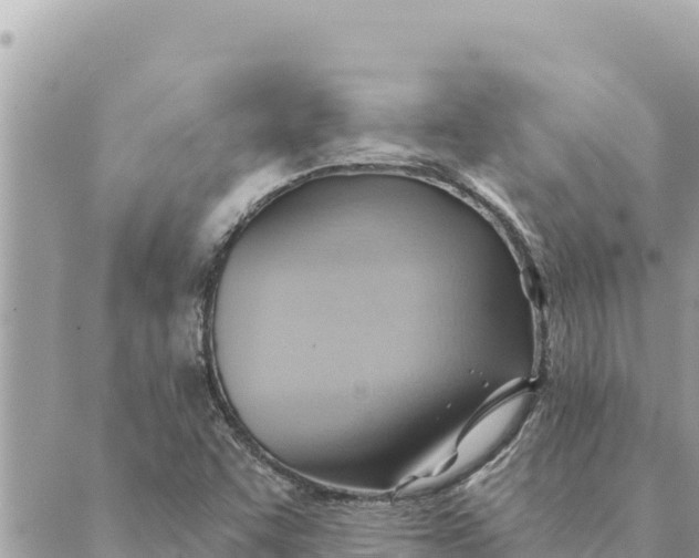 X0000088831455200706281744