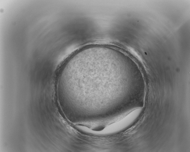 X0000088831456200706281744