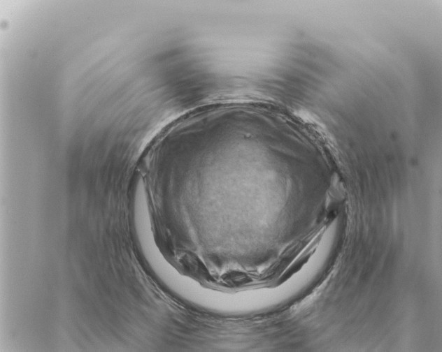 X0000088831457200706281744