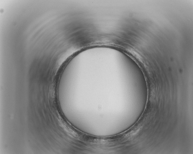 X0000088831458200706281744