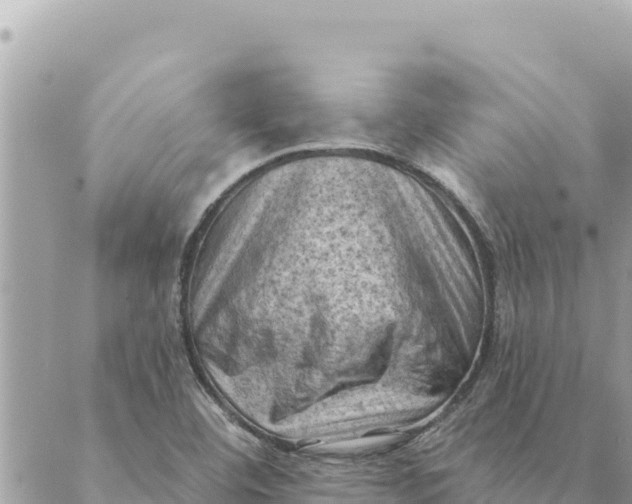 X0000088831460200706281744