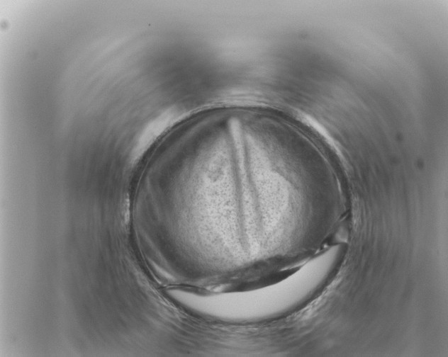 X0000088831461200706281744