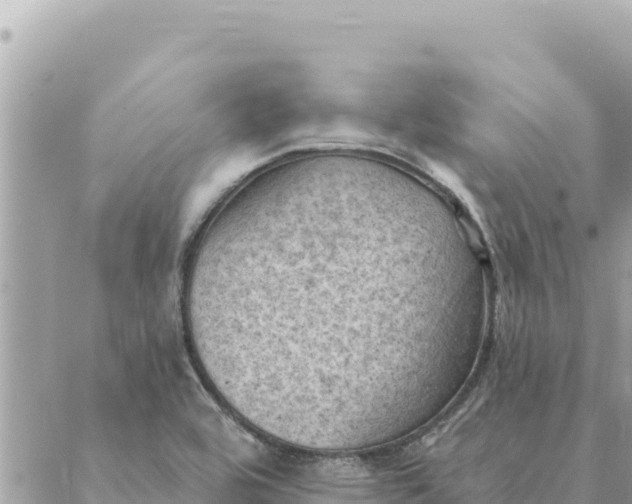 X0000088831464200706281744