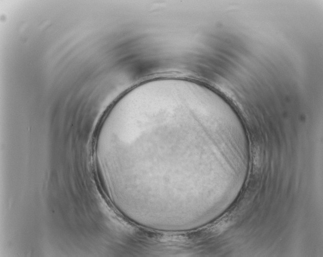 X0000088831466200706281744