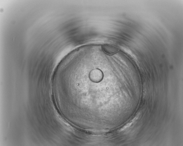 X0000088831467200706281744