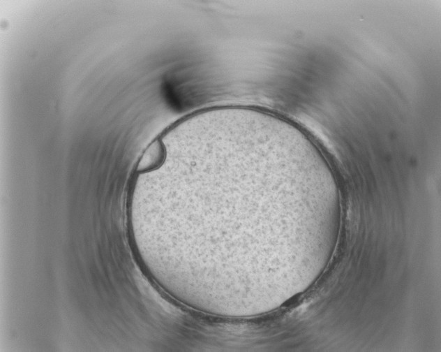 X0000088831468200706281744