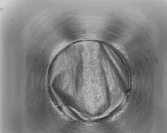 X0000088831469200706281743