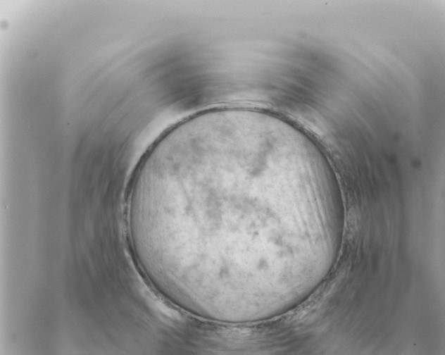 X0000088831470200706281743