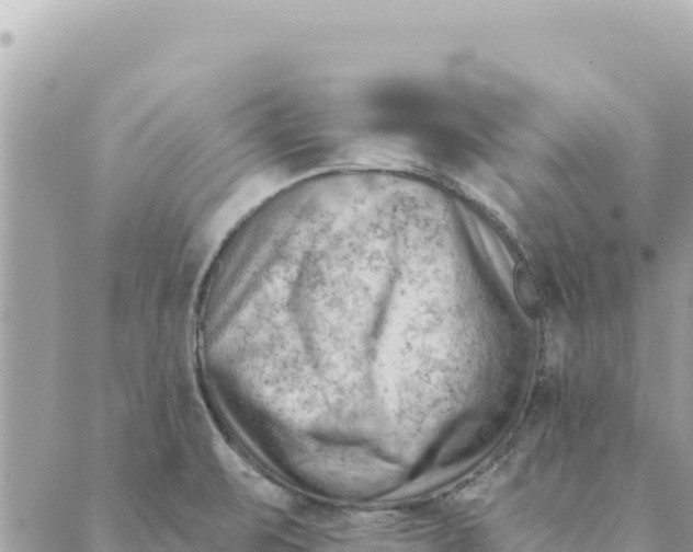 X0000088831471200706281743