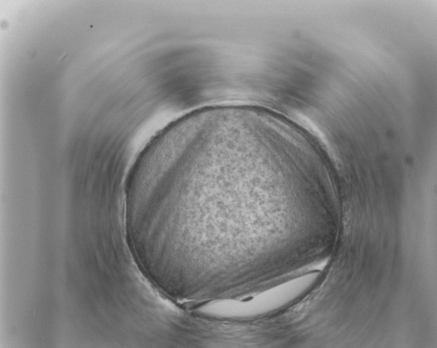 X0000088831472200706281743