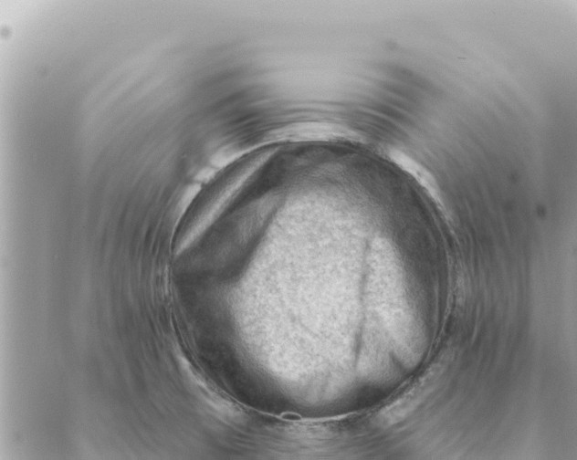 X0000088831473200706281743