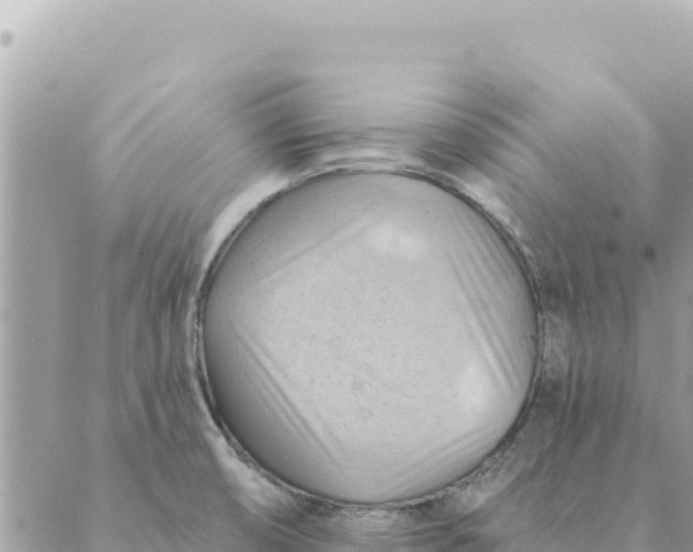 X0000088831474200706281743