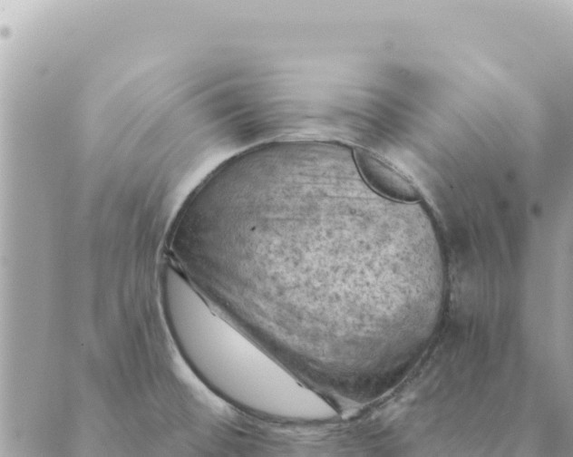 X0000088831476200706281743