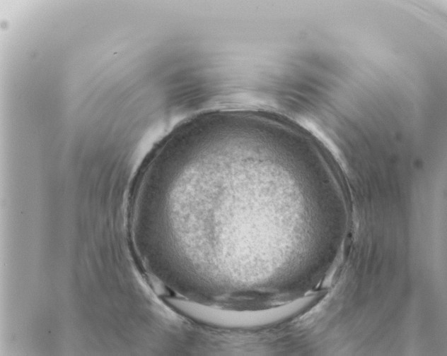 X0000088831477200706281743