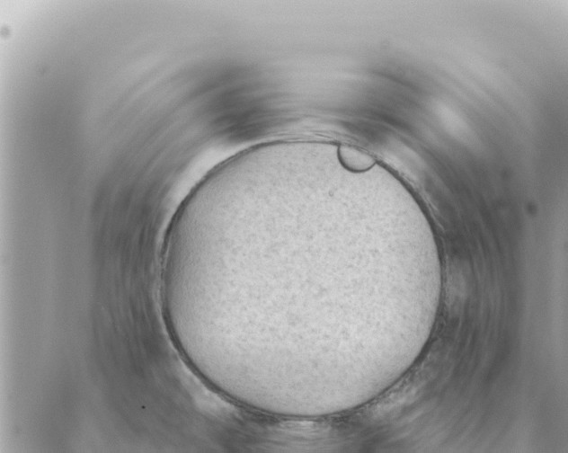 X0000088831478200706281743