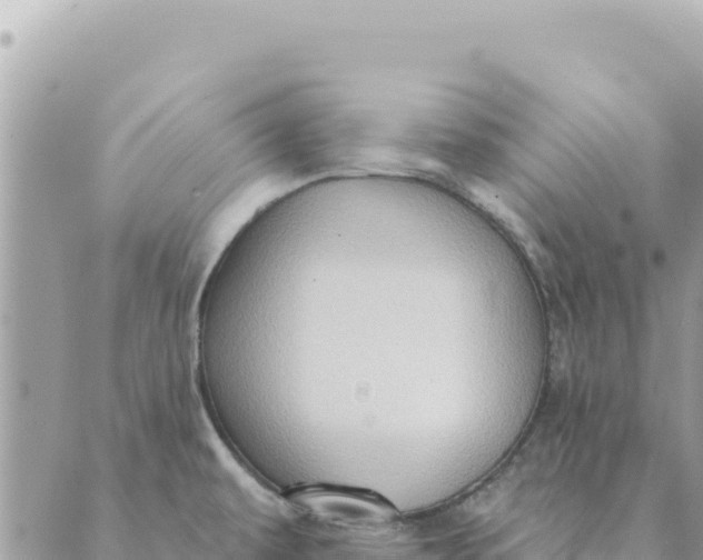 X0000088831479200706281743