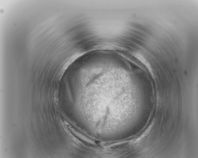 X0000088831481200706281743