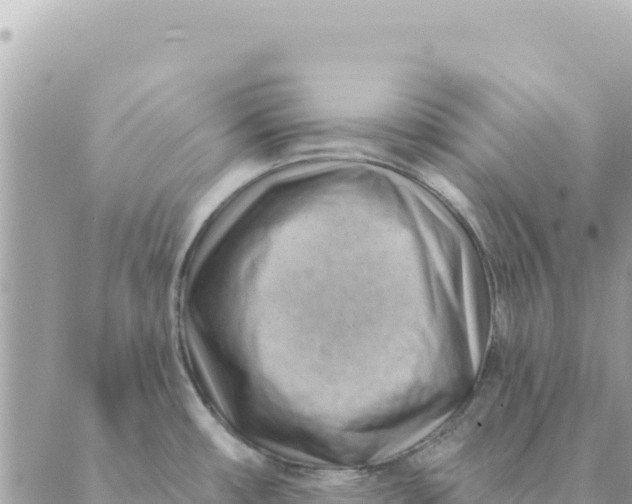 X0000088831482200706281743