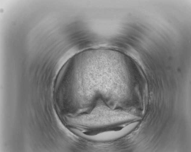 X0000088831483200706281743