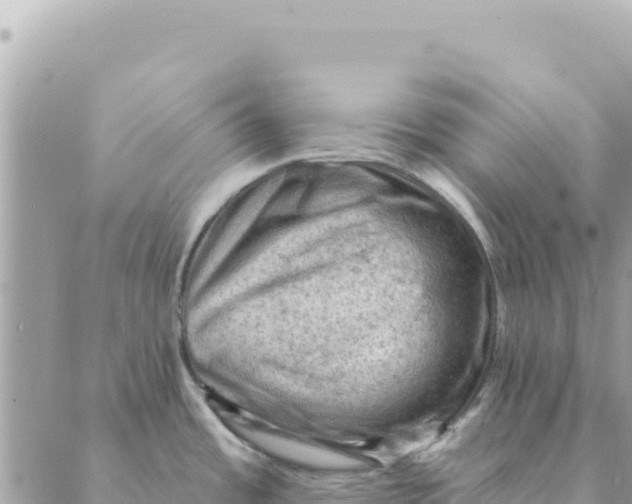 X0000088831485200706281743