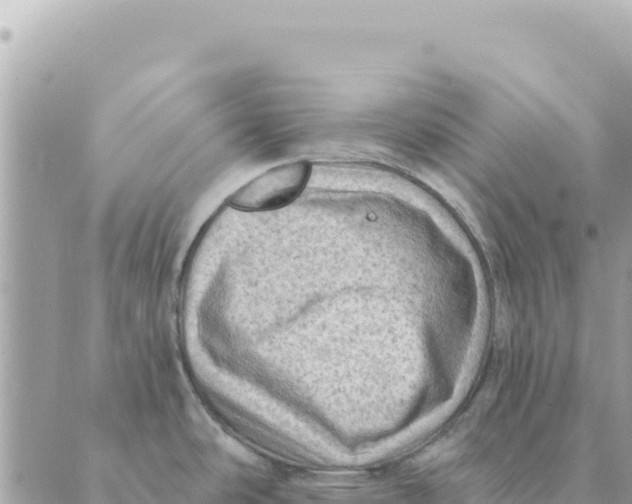 X0000088831486200706281743