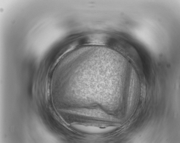 X0000088831487200706281743